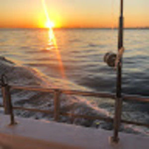 Meet your Posher, Shayla m.